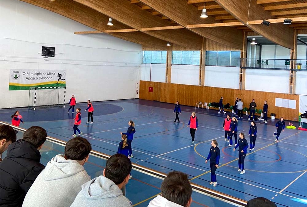 Observação do treino da seleção de andebol da Suécia